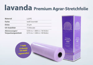 Bild Info Lavanda